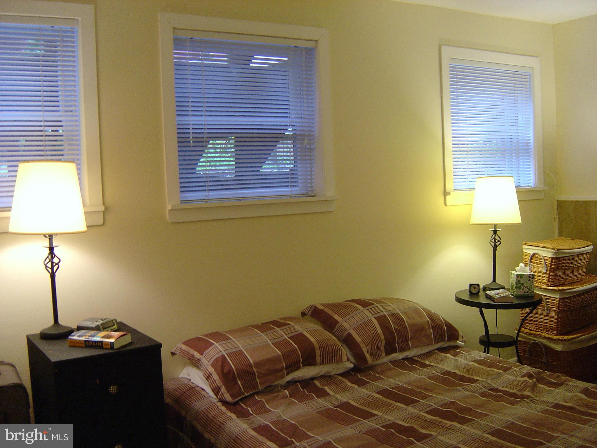 315 5th Street Southeast Washington, DC 20003 - Photo 28 of 29 Basement
