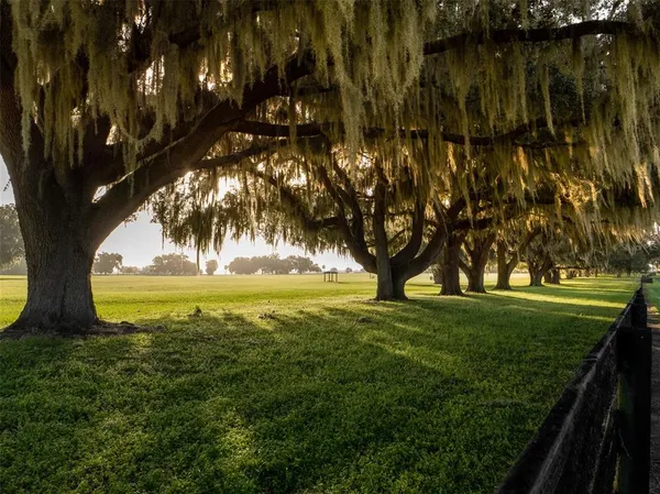 a view of outdoor space with garden