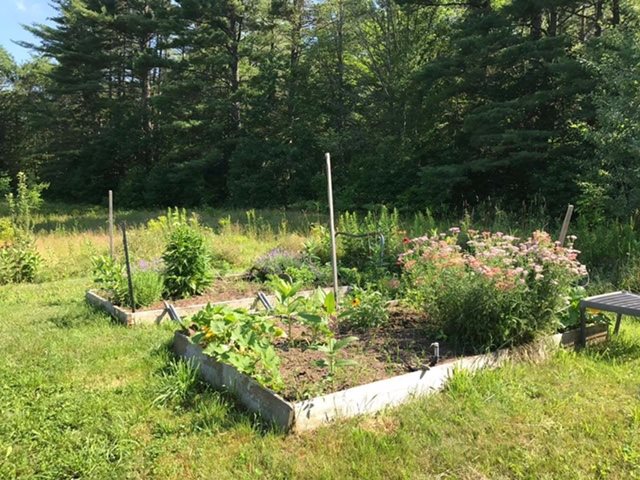 12 Felch Road North Sutton, NH 03260 - Photo 24 of 29 Gallery Image 24