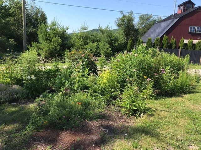 12 Felch Road North Sutton, NH 03260 - Photo 5 of 29 Gallery Image 5