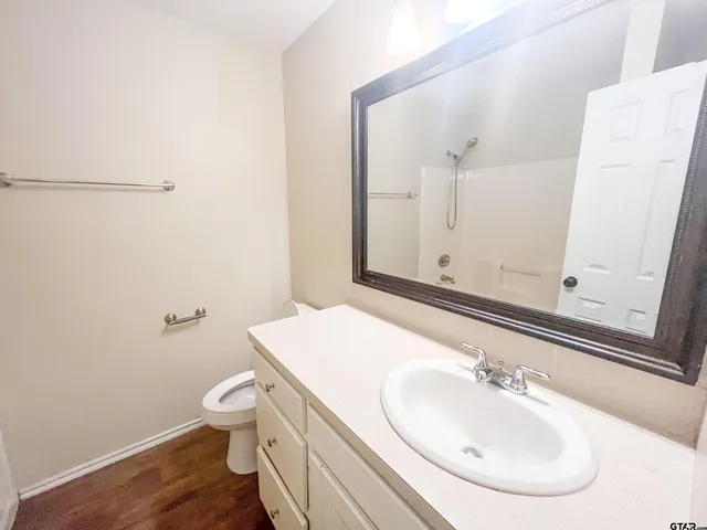 a bathroom with a sink toilet and mirror