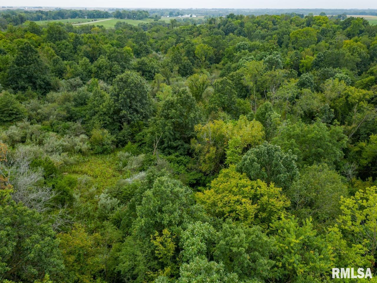 10699 North 1000th Road Macomb, IL 61455 - Photo 2 of 49 Gallery Image 2