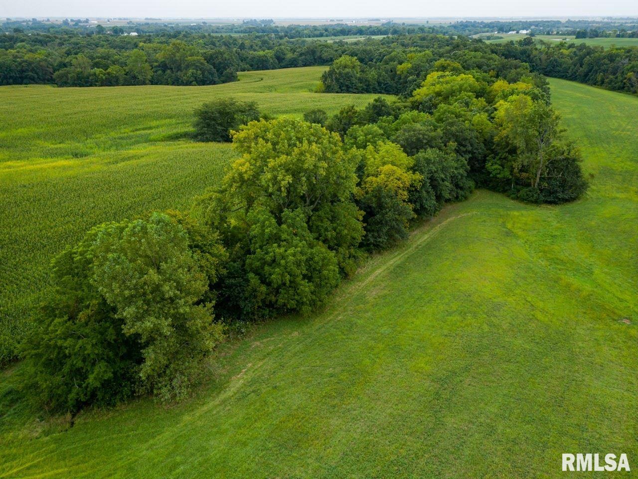 10699 North 1000th Road Macomb, IL 61455 - Photo 15 of 49 Gallery Image 15