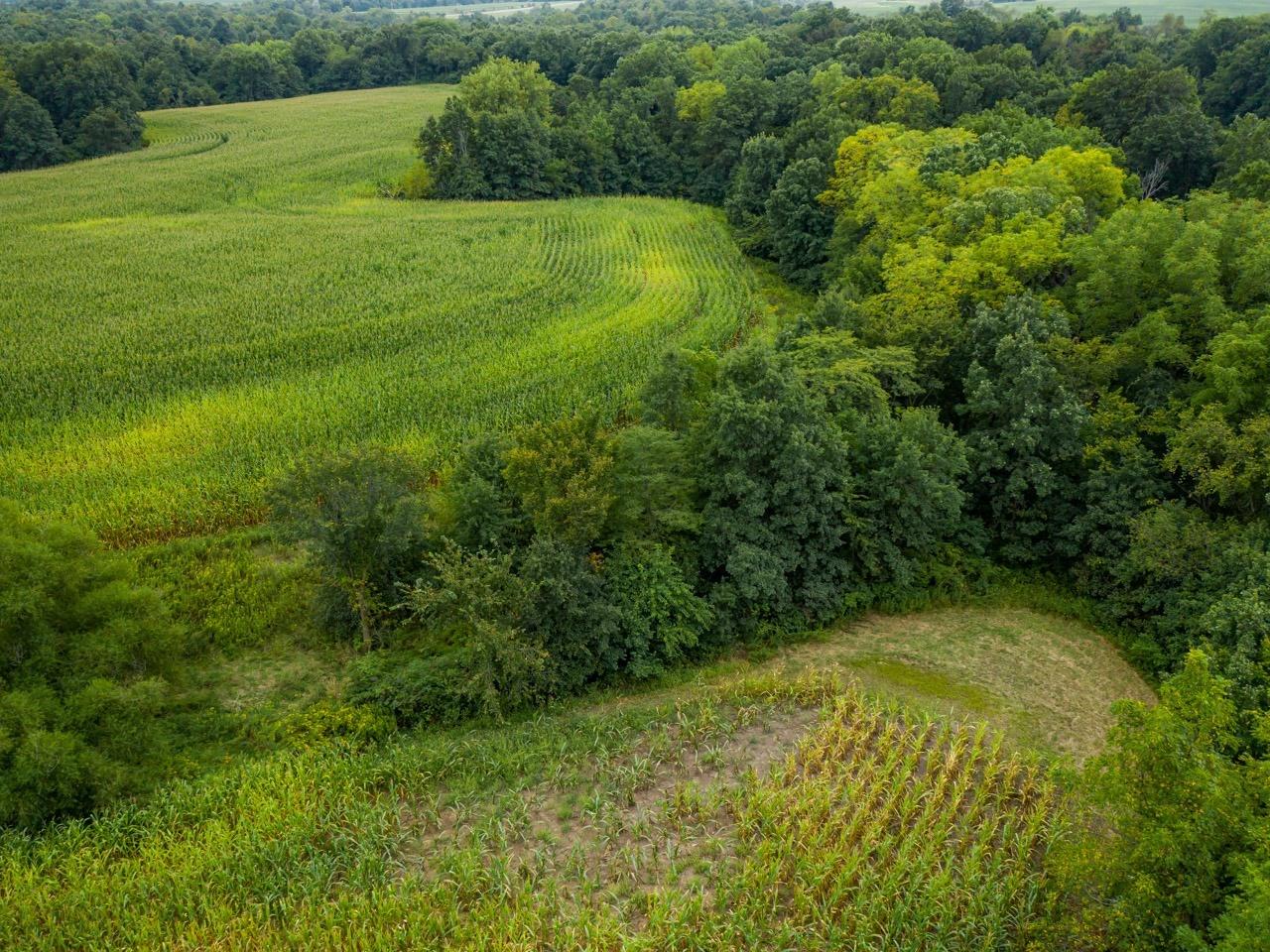 10699 North 1000th Road Macomb, IL 61455 - Photo 19 of 49 Gallery Image 19