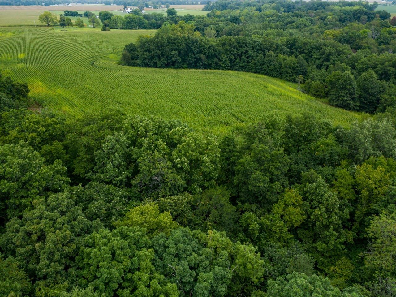 10699 North 1000th Road Macomb, IL 61455 - Photo 21 of 49 Gallery Image 21