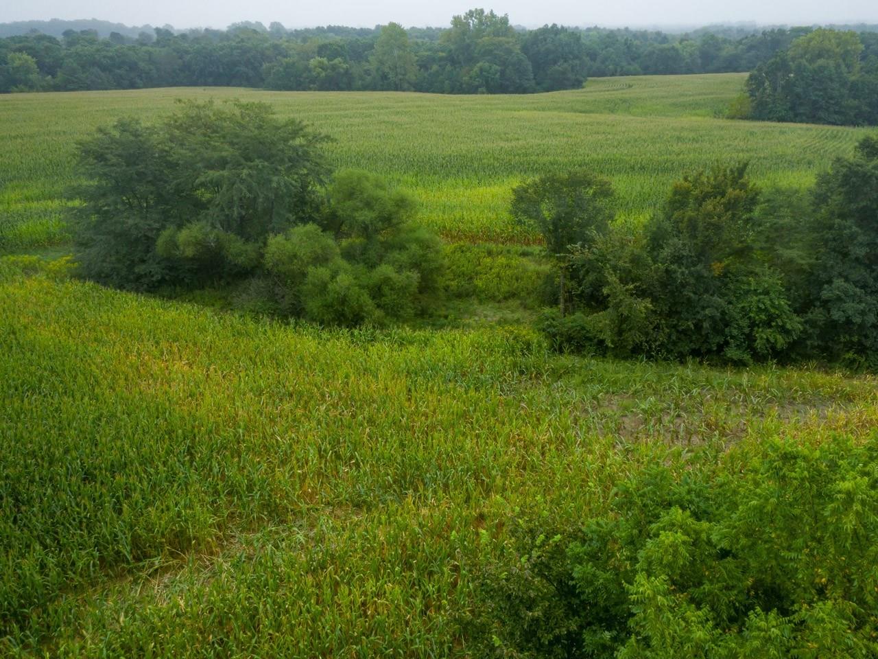 10699 North 1000th Road Macomb, IL 61455 - Photo 26 of 49 Gallery Image 26