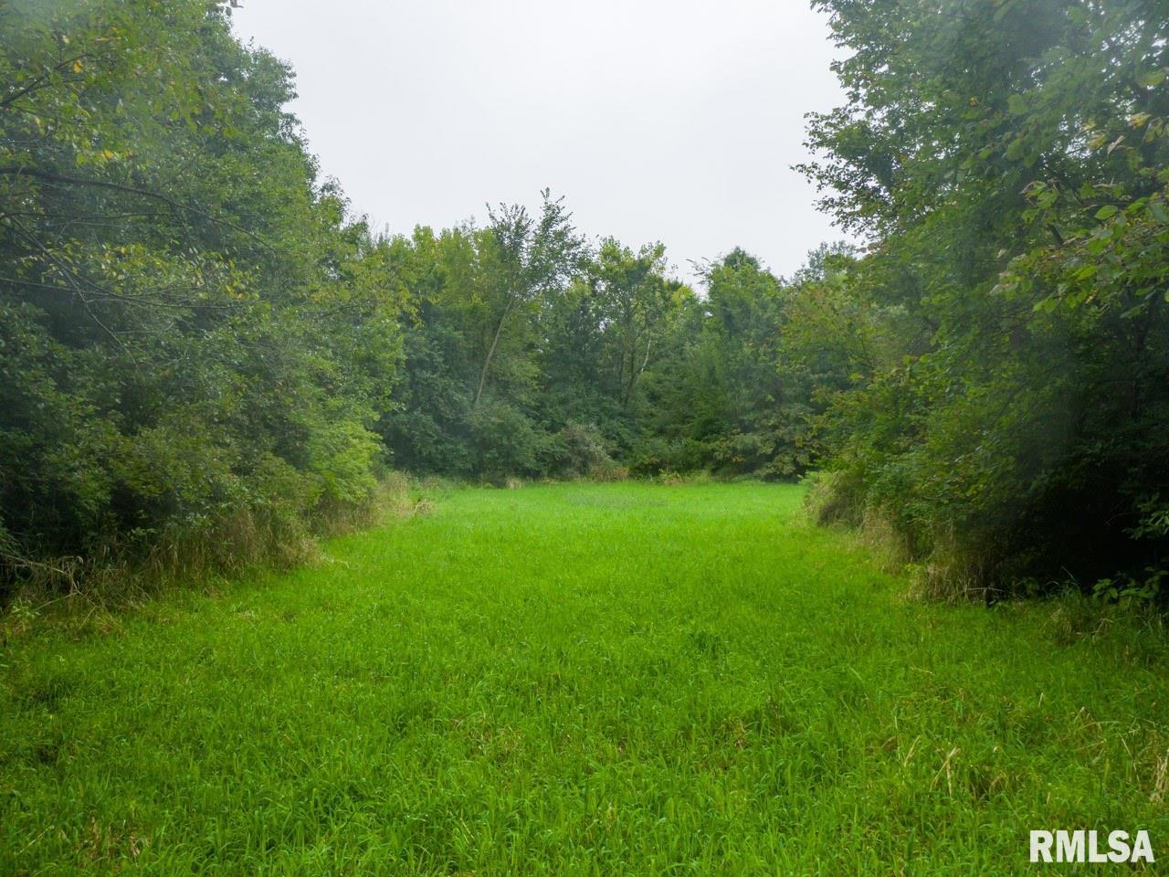 10699 North 1000th Road Macomb, IL 61455 - Photo 35 of 49 Gallery Image 35