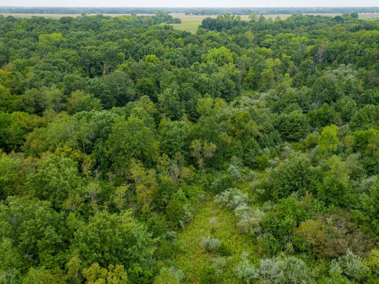 10699 North 1000th Road Macomb, IL 61455 - Photo 9 of 49 Gallery Image 9