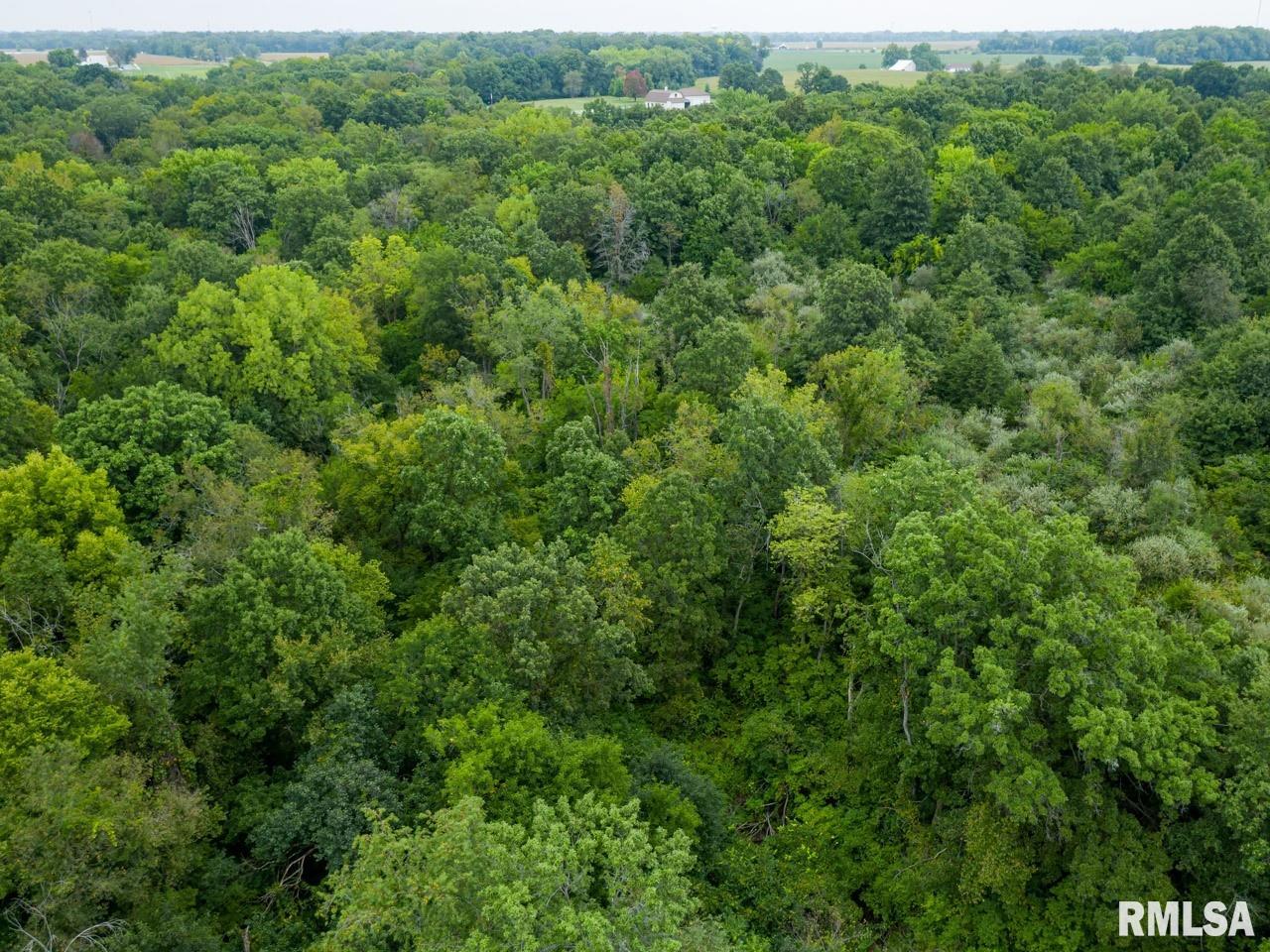 10699 North 1000th Road Macomb, IL 61455 - Photo 10 of 49 Gallery Image 10