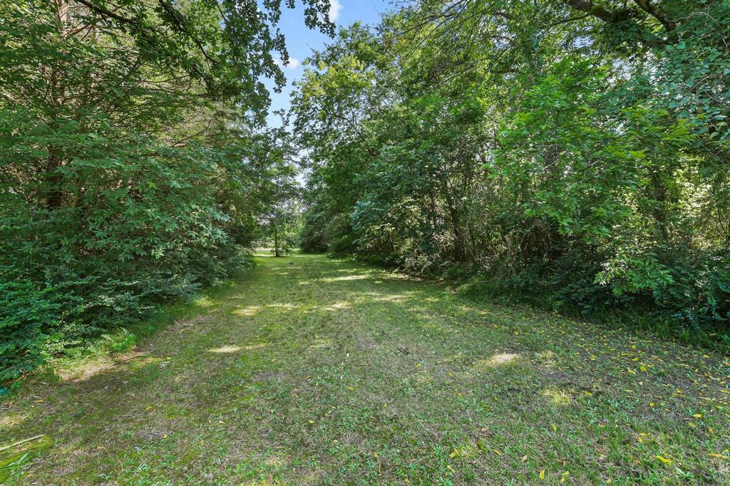 252 Meadow Lake Estates Road Denison, TX 75021 - Photo 22 of 37 Expansive cleared land featuring natural vegetation