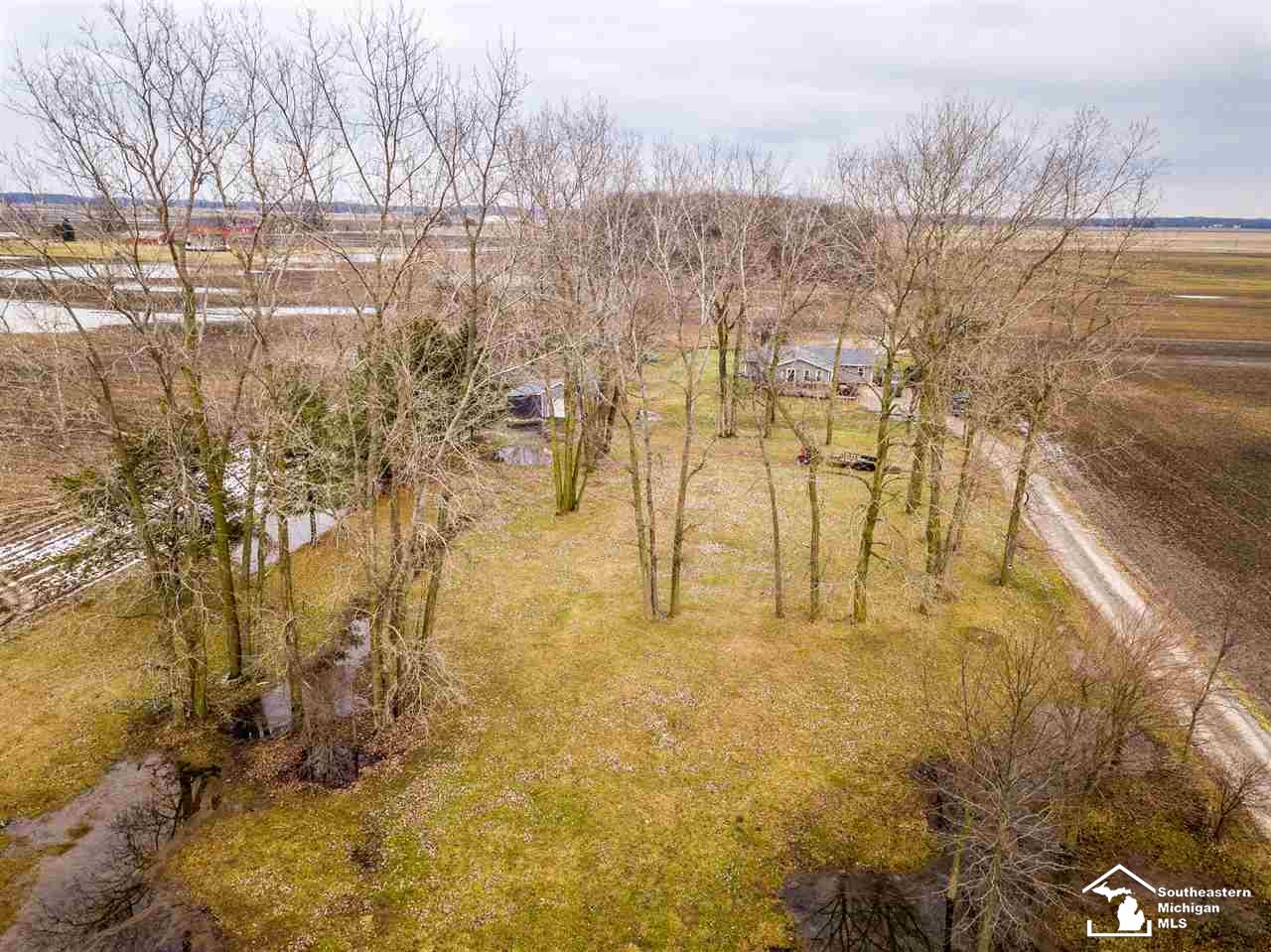 6780 North Rea Road Dundee, MI 48131 - Photo 34 of 37