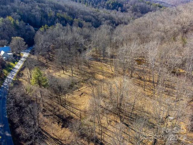 a view of a dry yard