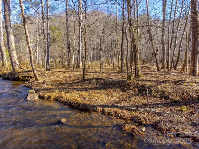 a view of a yard with trees