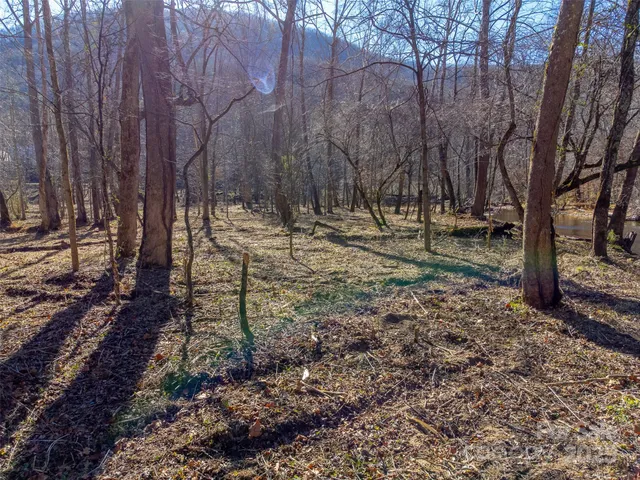 a view of backyard with trees