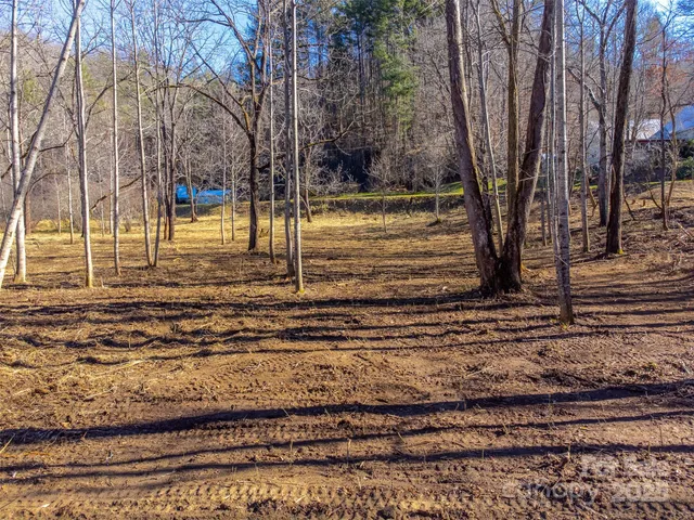a view of a backyard of the house
