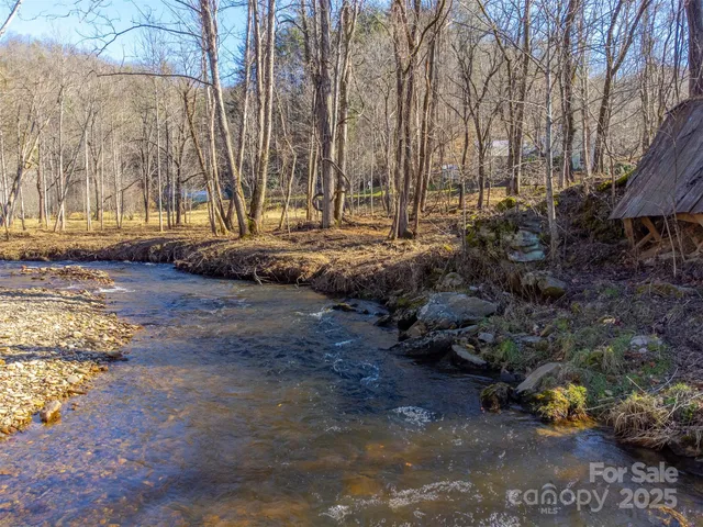a view of a yard with plants and trees