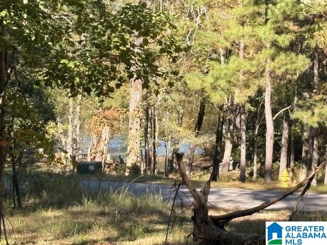 4540 Cabin Road, Unit 4 AND 6 Bessemer, AL 35022 - Photo 3 of 13