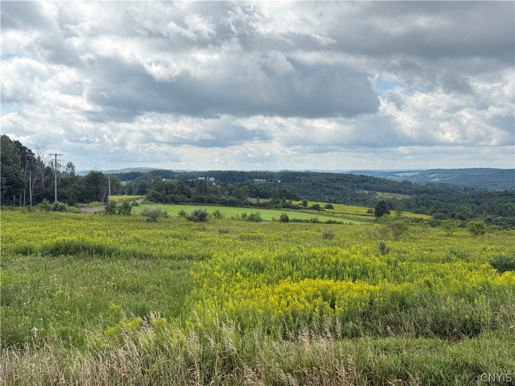 2755 Center Road McGraw, NY 13101 - Photo 31 of 47 Gallery Image 31