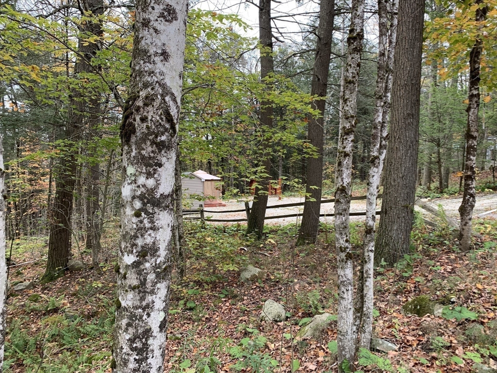 759 North Main Road Otis, MA 01253 - Photo 2 of 41 Gallery Image 2