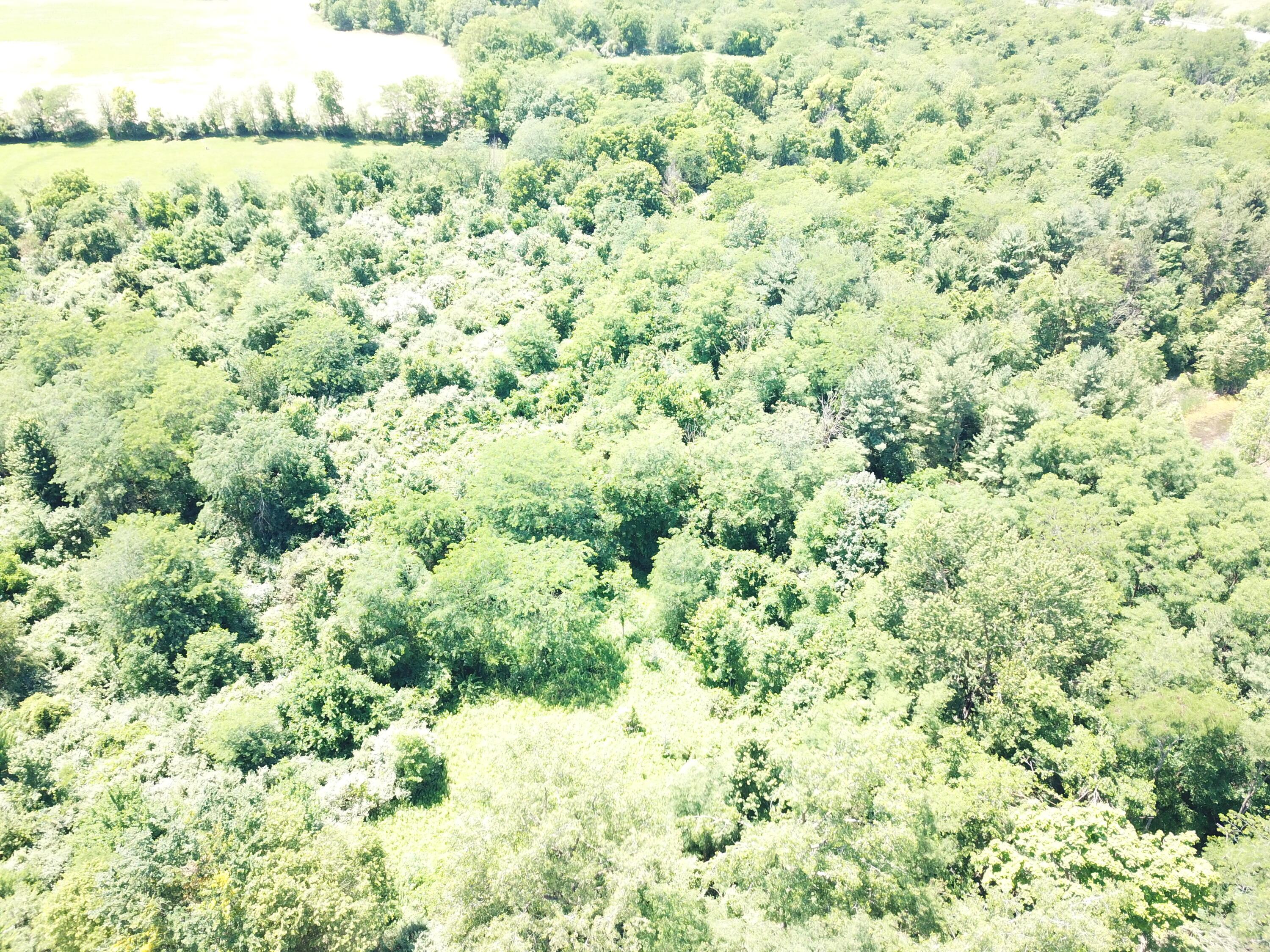 0 Marysville Road Ostrander, OH 43061 - Photo 16 of 18 DJI_0991