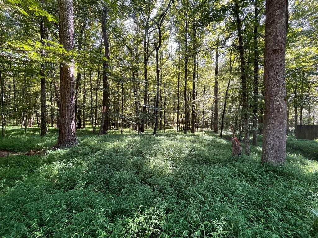 4865 Settles Point Road Suwanee, GA 30024 - Photo 25 of 25 a view of outdoor space and green space