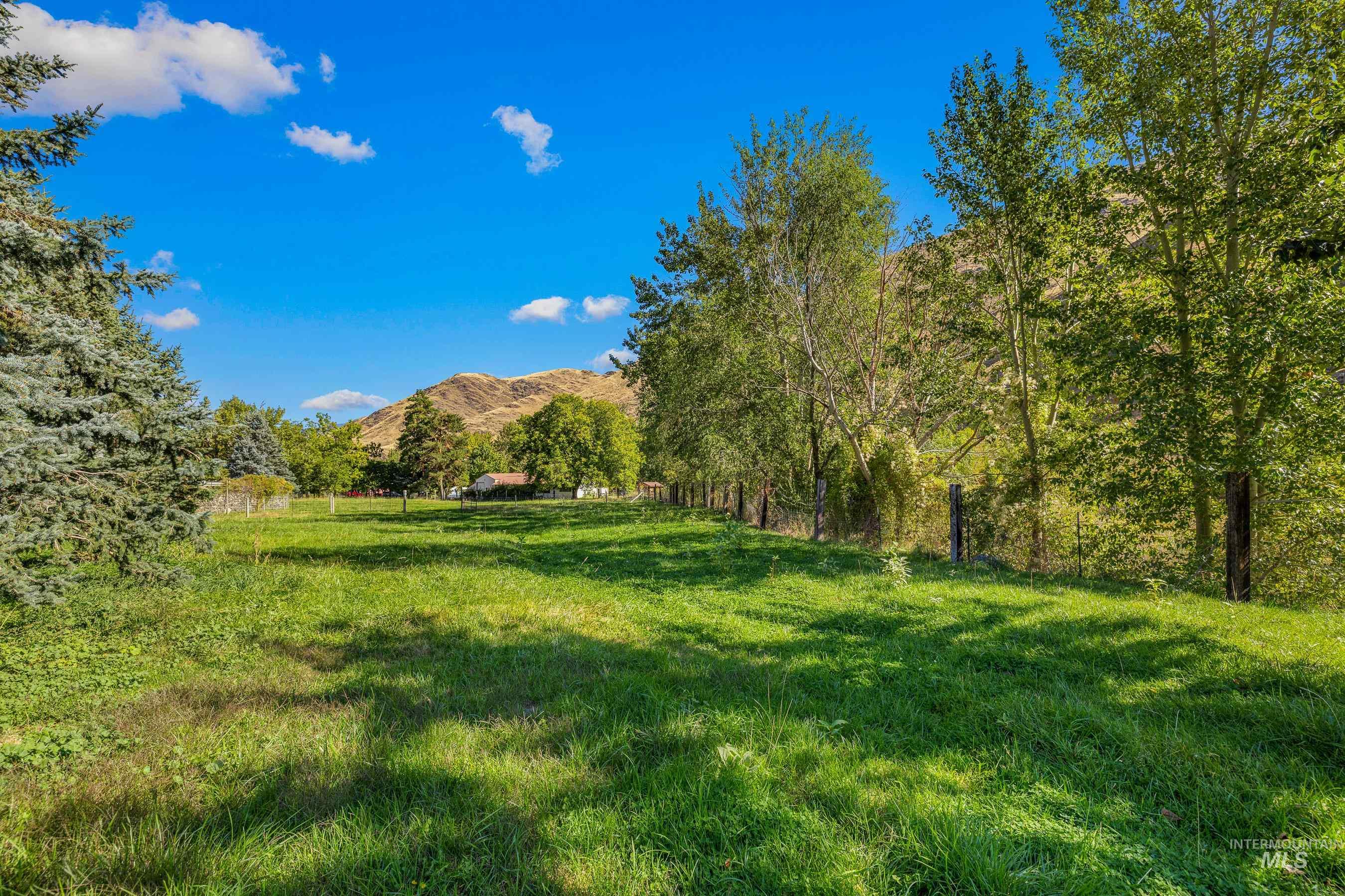 7026 S Highway Riggins, ID 83549 - Photo 41 of 50 Expansive grassy field with mature trees and mountain backdrop