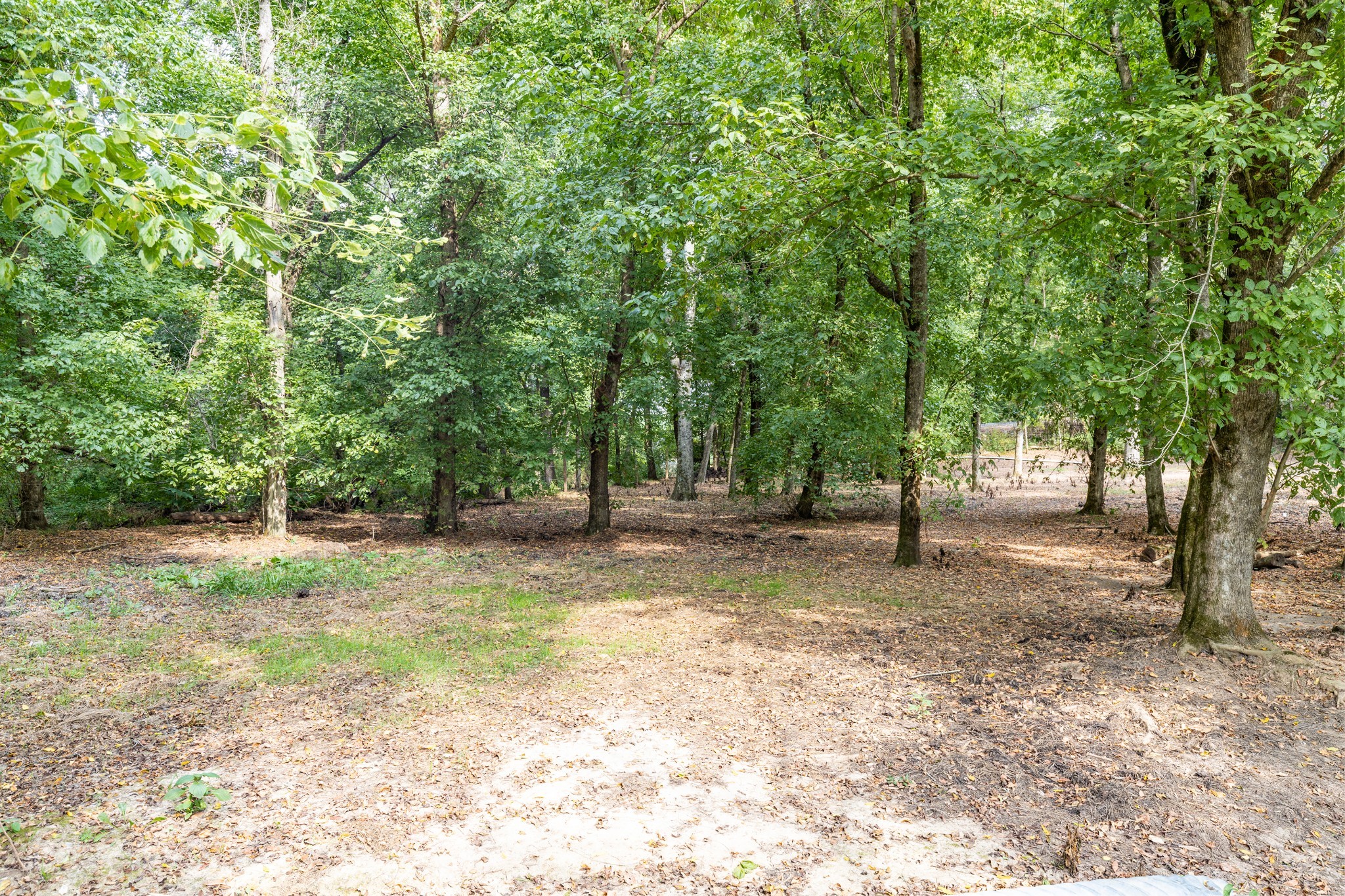 1502 New Deal Potts Road Portland, TN 37148 - Photo 56 of 72 Gallery Image 56