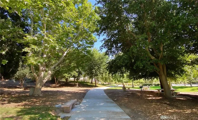 a view of a street with a tree
