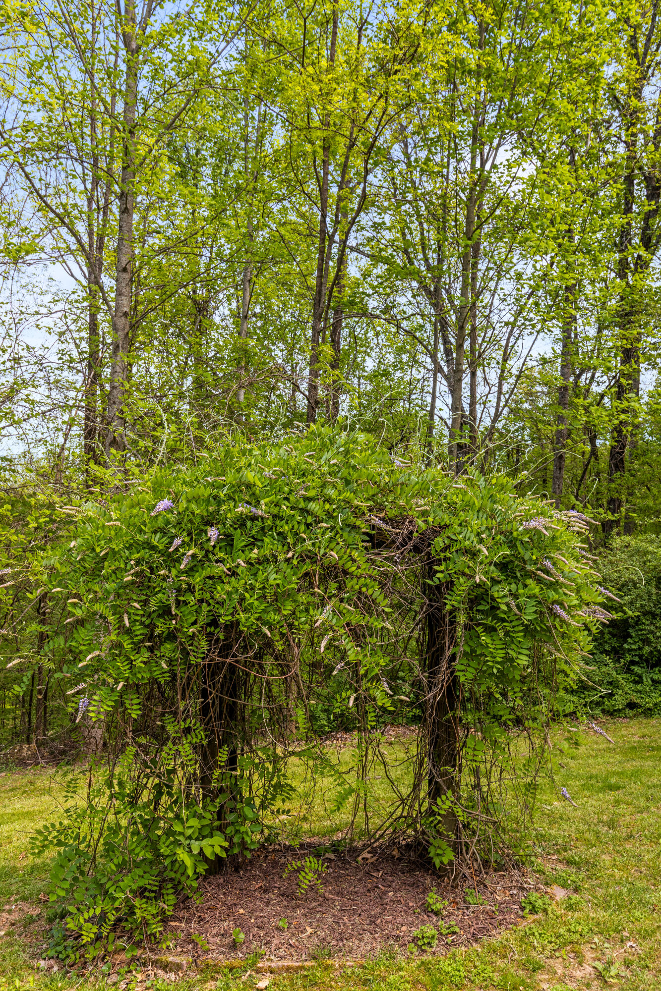 3850 Stagecoach Road Sewanee, TN 37375 - Photo 53 of 88 Stagecoach-13