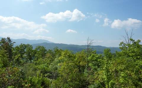 Main View