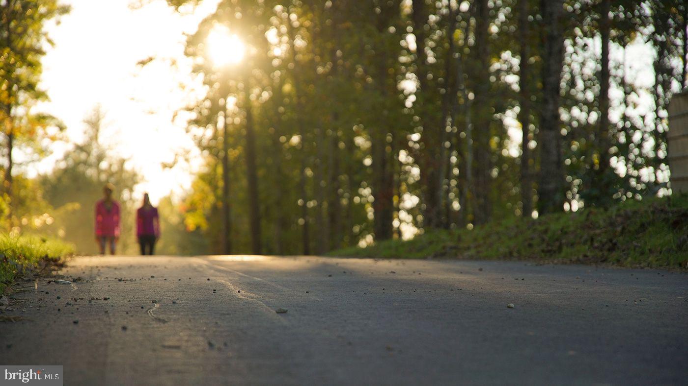 455 Presidents Pointe Avenue Ranson, WV 25438 - Photo 29 of 40 a view of road view and trees