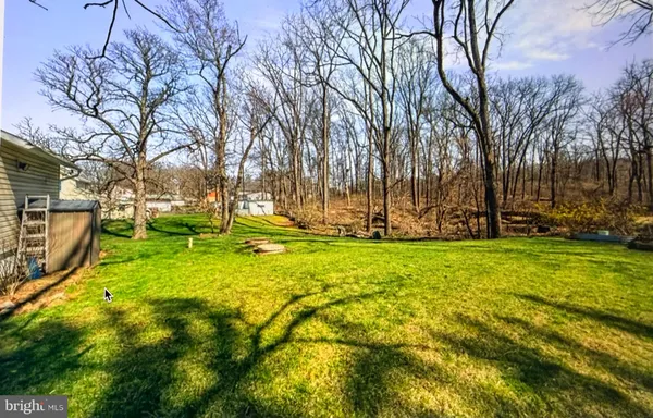 a view of yard with green space