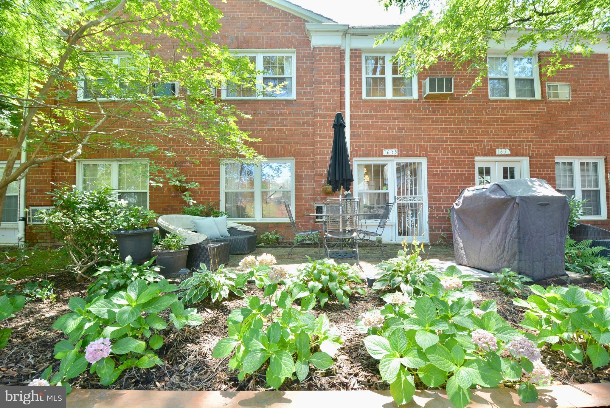 1635 Ripon Place Alexandria, VA 22302 - Photo 30 of 37 Beautiful hydrangeas & hostas in the back garden