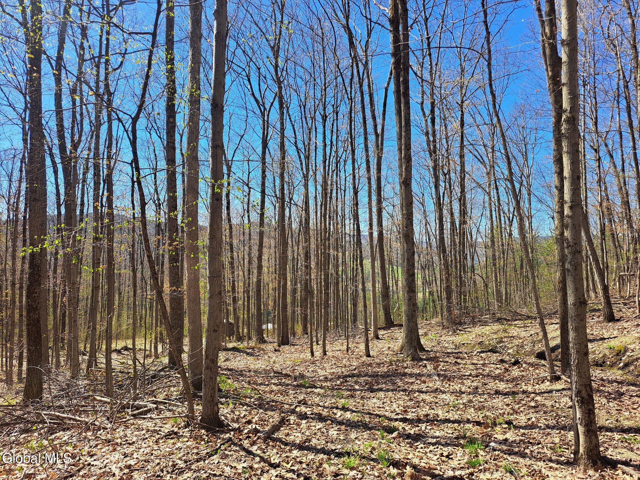 277 Breese Hollow Road Hoosick, NY 12089 - Photo 51 of 52 51 HArdwoods