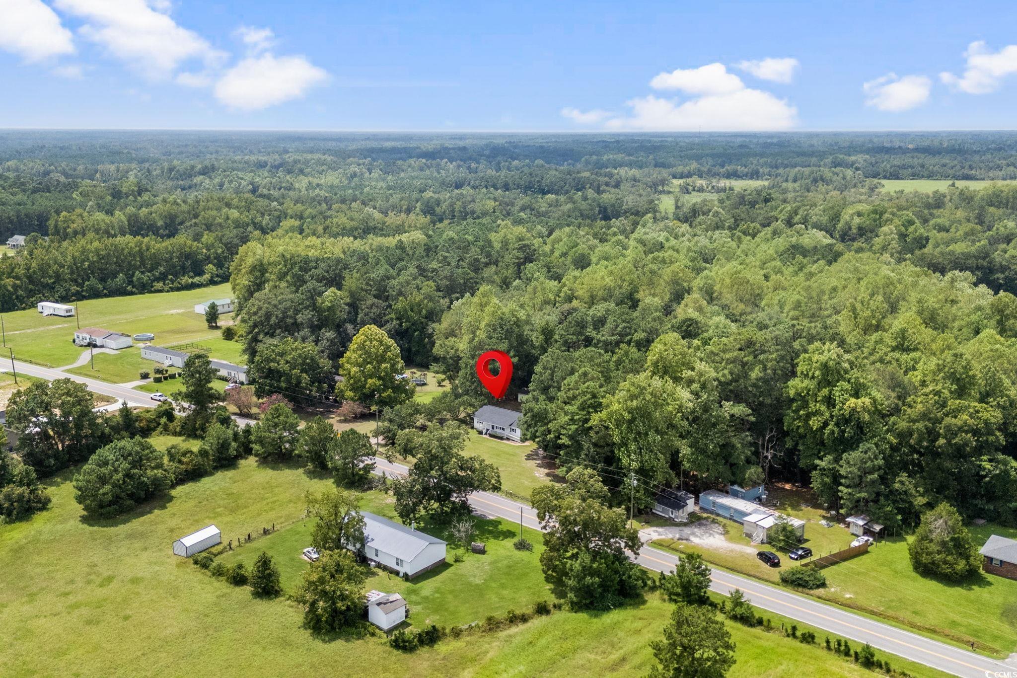 450 Highway 348 Loris, SC 29569 - Photo 34 of 37 Drone / aerial view of a forest