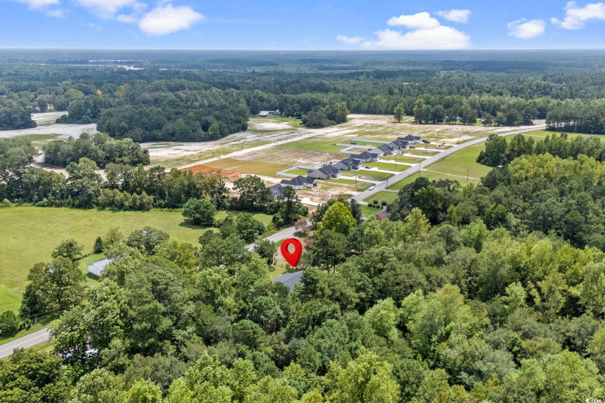 450 Highway 348 Loris, SC 29569 - Photo 35 of 37 Bird's eye view of a forest
