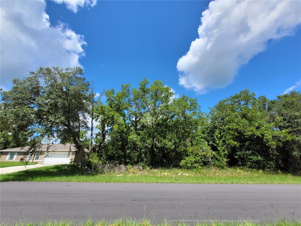 0 Southwest 57th Terrace Road Ocala, FL 34473 - Photo 6 of 13