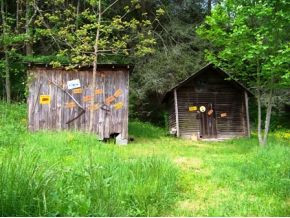 810 Big Dry Run Road Mountain City, TN 37683 - Photo 3 of 12 OUTBUILDINGS