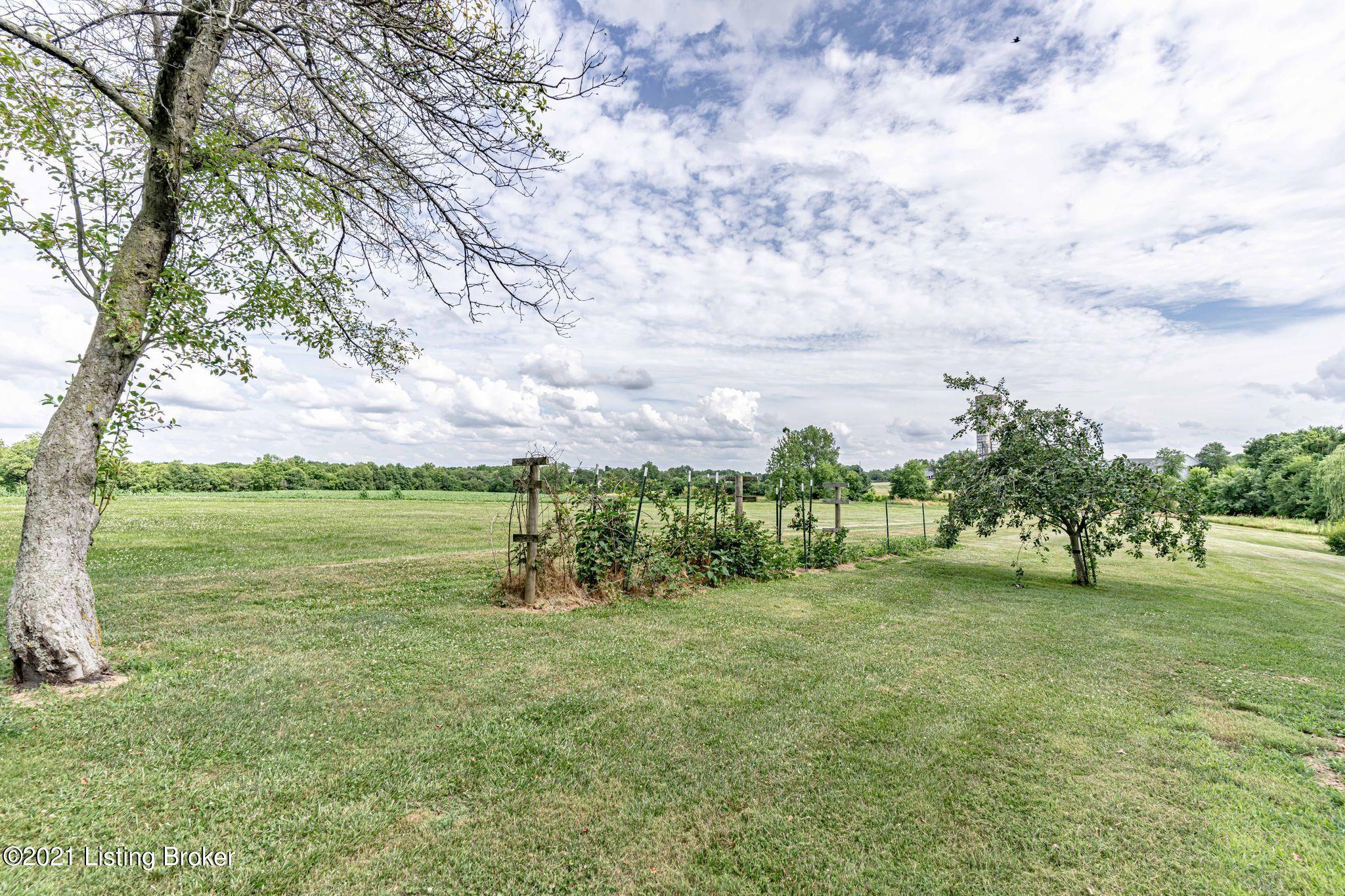 338 Logan Road Bagdad, KY 40003 - Photo 34 of 46 Garden