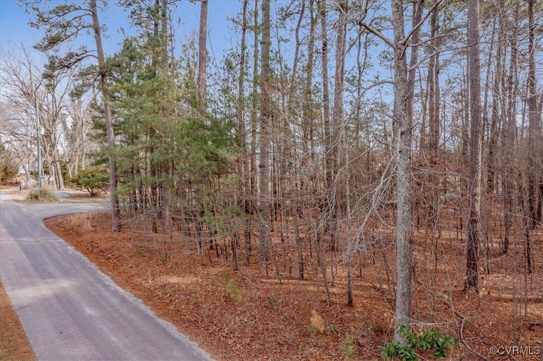 Tbd Sloop Point Road Spring Grove, VA 23881 - Photo 4 of 10 Gallery Image 4