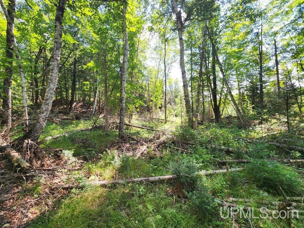2.63-acres Sheltrow Road, Unit LOT 6PAINT RIVER HIGHLAN Crystal Falls, MI 49920 - Photo 27 of 53 Gallery Image 27
