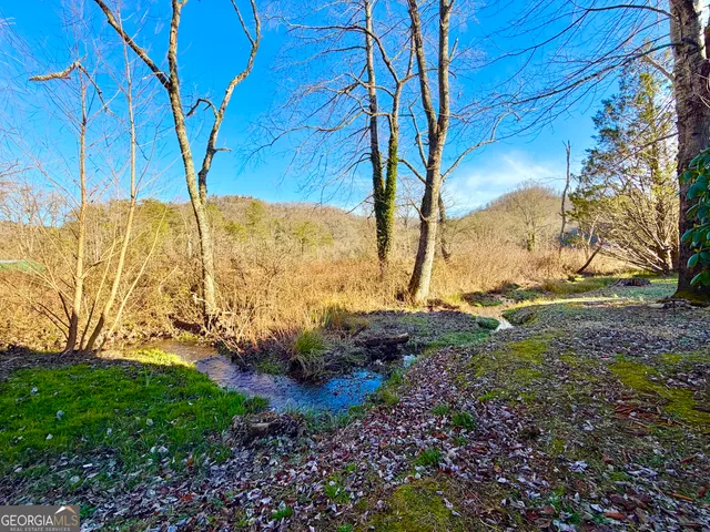a view of backyard with tree