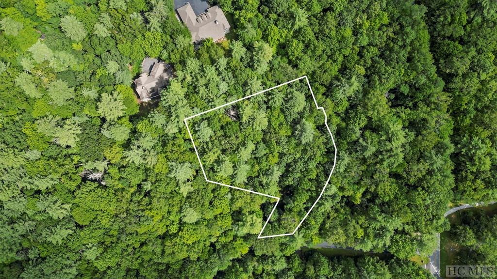 12 Staircase Falls Road Sapphire, NC 28774 - Photo 20 of 20 Gallery Image 20