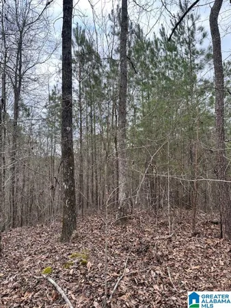 $159,000 | 0 Highway 145, Unit 1, Clanton, AL 35046