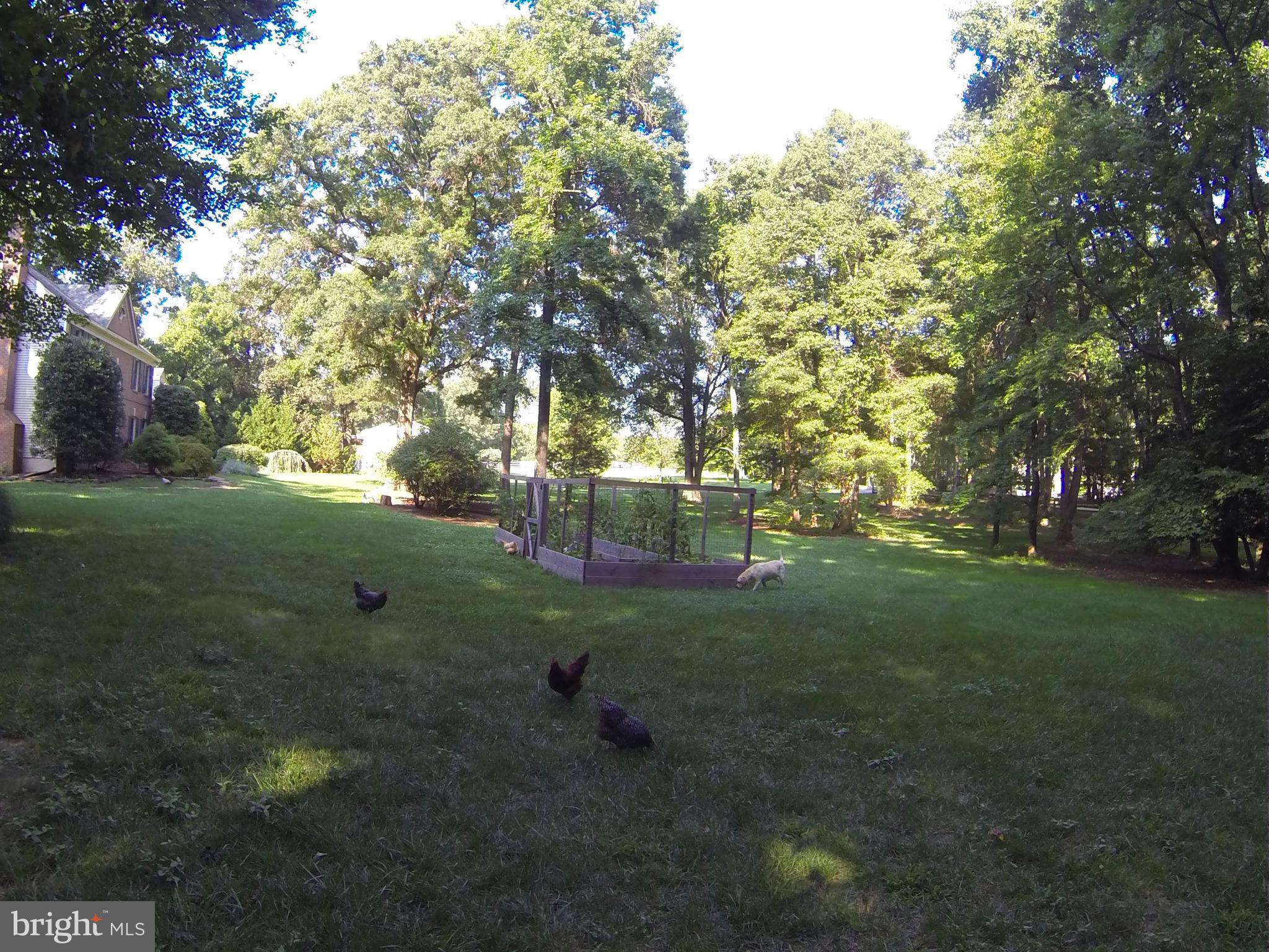 11808 Harley Road Lorton, VA 22079 - Photo 29 of 30 Side Yard