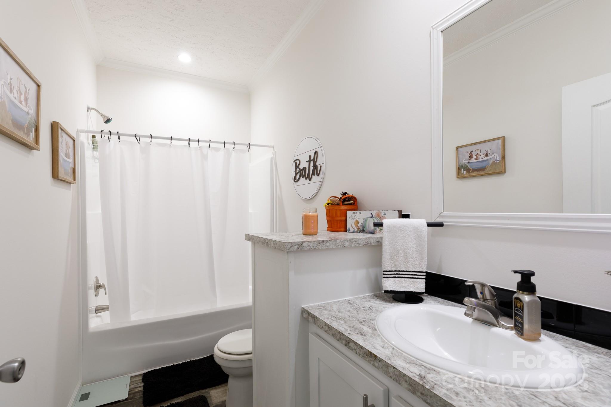 4575 Cureton Ferry Road Catawba, SC 29704 - Photo 25 of 42 a bathroom with a sink toilet and a mirror