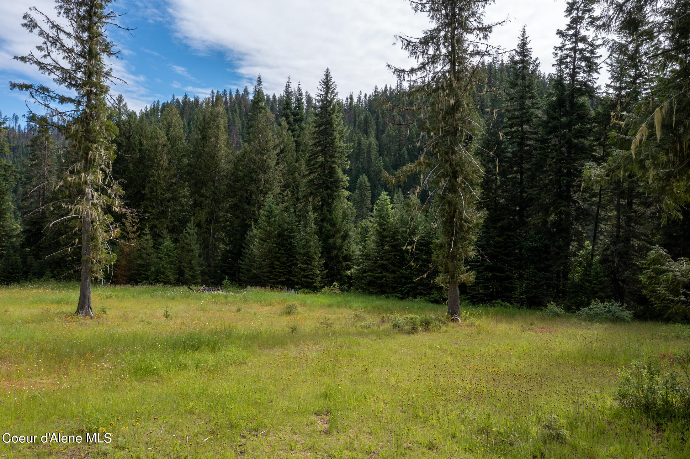 Nna Beaver Creek Road Wallace, ID 83873 - Photo 20 of 57 DJI_0804-HDR-31