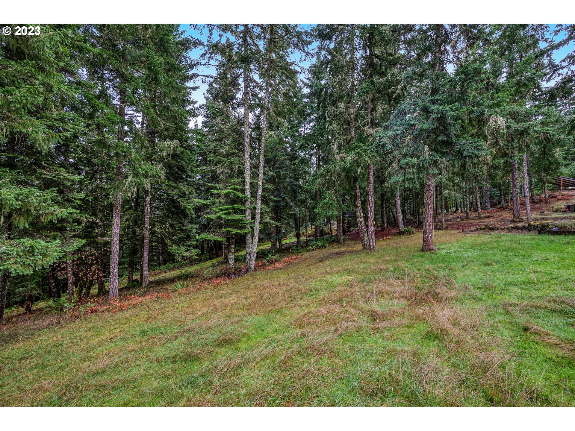 82864 Weiss Road Creswell, OR 97426 - Photo 28 of 35 Gallery Image 28