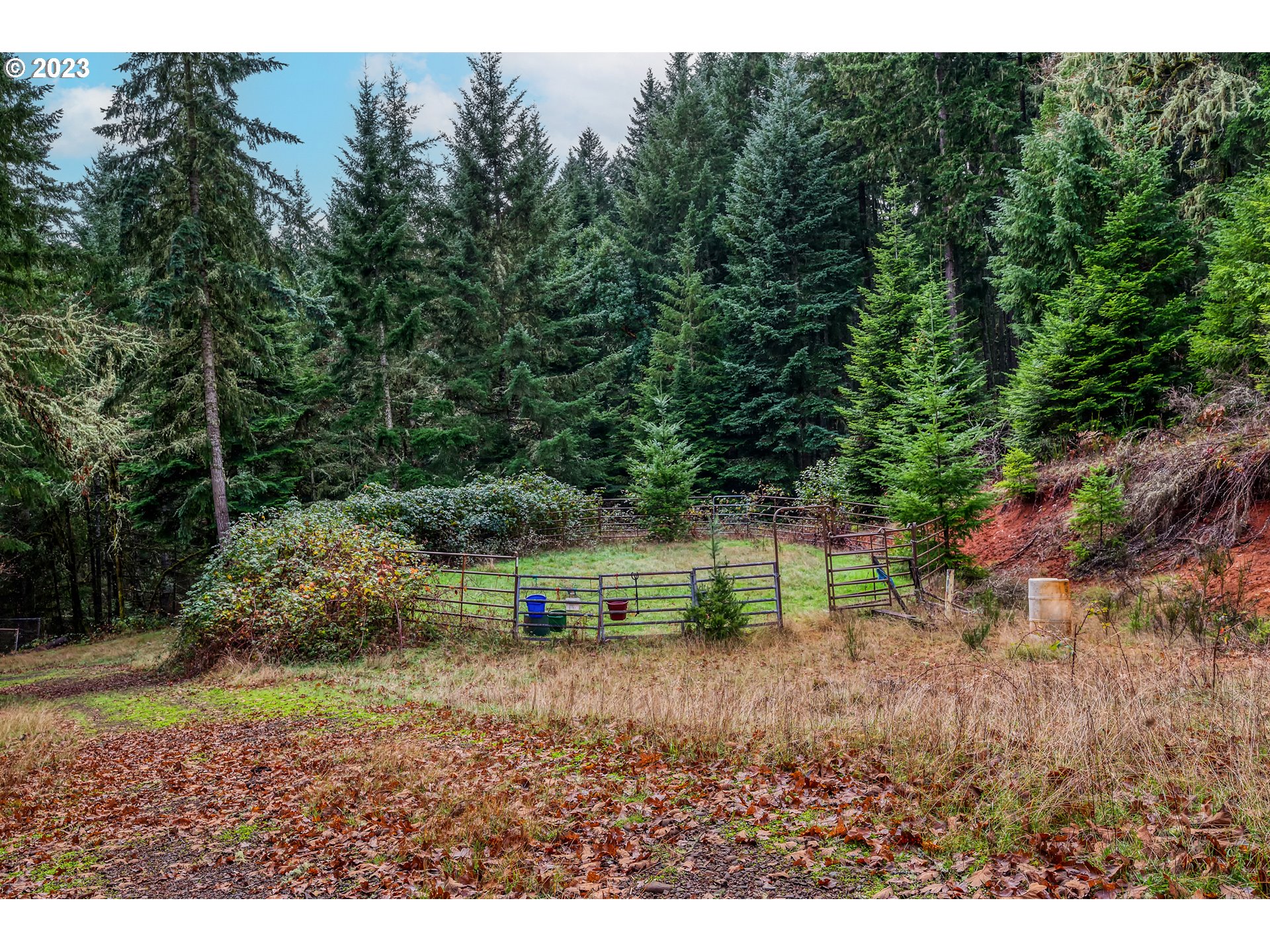 82864 Weiss Road Creswell, OR 97426 - Photo 32 of 35 Gallery Image 32