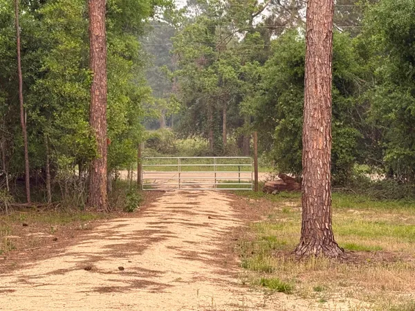 $85,000 | 455 Northeast Blue Ridge Landing Avenue, Lee, FL 32059